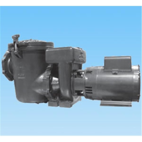 Handson Hydro 5000 20 HP Commercial Cast Iron Pump HA1508155